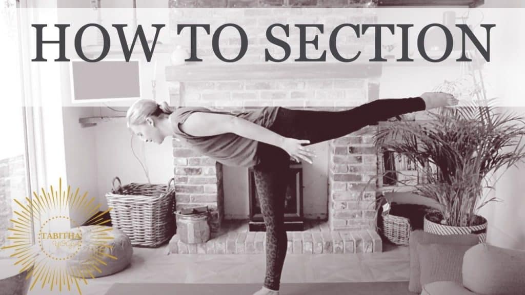 How To Section Header Image showing Tabitha Yoga standing in a one leg balnce